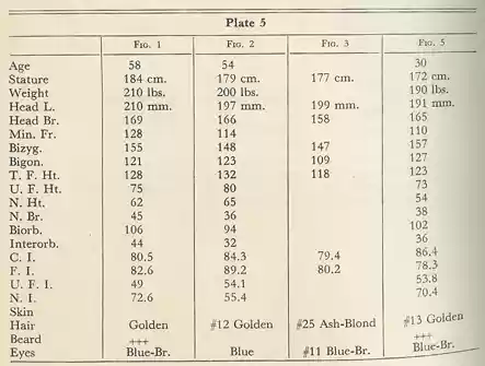Plate 5